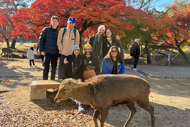 World Heritage Kyoto & Nara Uji Authentic Matcha Experience - Kasuga Taisha, Nara’s lantern-filled shrine