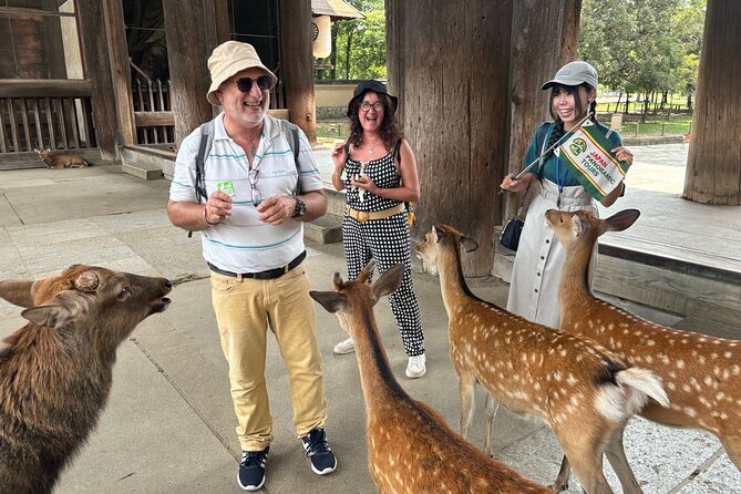 World Heritage Kyoto & Nara Uji Authentic Matcha Experience - Passing through Nandaimon to Todai-ji