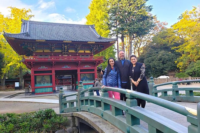 Yanaka Walking Tour: Historic and Traditional District of Tokyo - Tea, art, and old neighborhood buildings