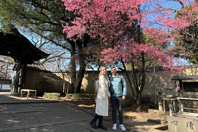 Yanaka Walking Tour: Historic and Traditional District of Tokyo - What the guides add to the walk