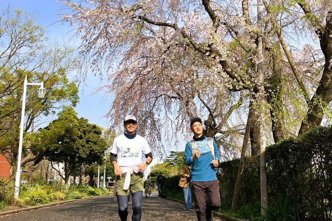 Yokohama Half Day Walking Tour with an Expert Local Guide - Landmark Tower and the view from floor 69